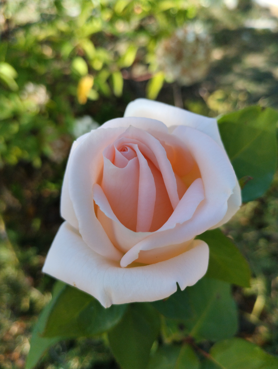 Фото от 22 сентября.