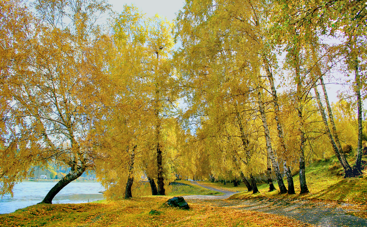 Фотография, стихотворение Василия Глуцкого