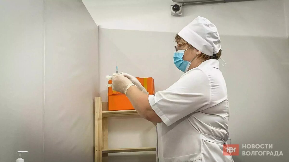     Источник: novostivolgograda.ru