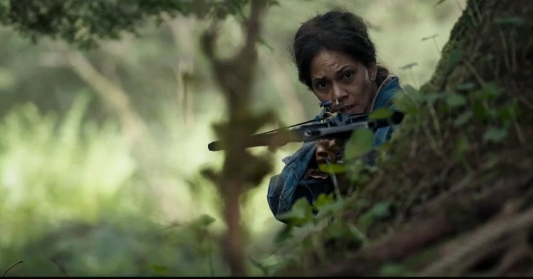 Режиссёр - Александр Ажа - хорошо известный нам с вами создатель таких хорроров как "Зеркала", "У холмов есть глаза", "Кровавая жатва", обвинен во вторичности "Never Let Go" (так звучит по англ название свежего фильма с Холли Бэрри в главной роли). Это очень странно, потому что автору приписывают самоплагиат с 20-летней "Кровавой жатвы". Ну, вроде бы, и там, и там безумие героини стало виной всему кошмару. По моему мнению, так себе параллель, ничего похожего