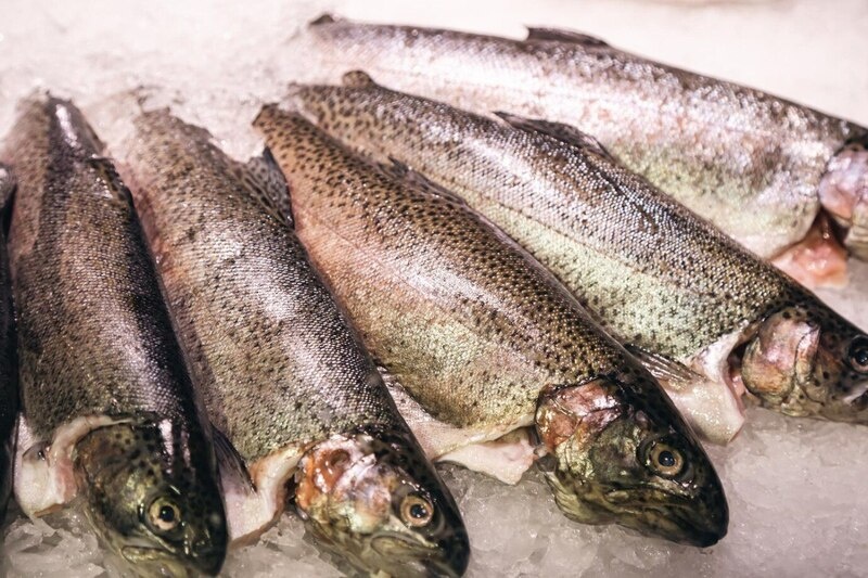    Фото: pvproductions/Freepik