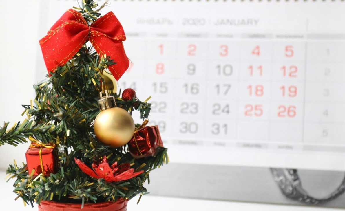    Фото: data.nalog.ru Анна Полякова