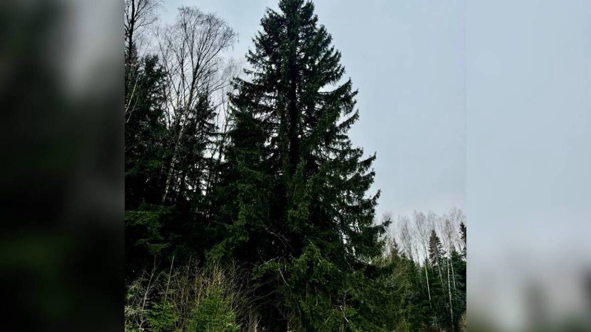    Фото: Telegram / Управление делами Президента РФ