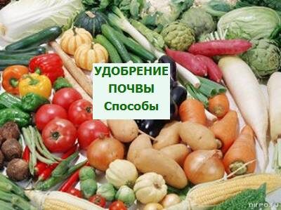 удобрение почвы
