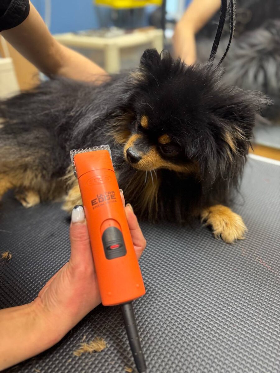 Одна из салонных машинок, фирмы Andis