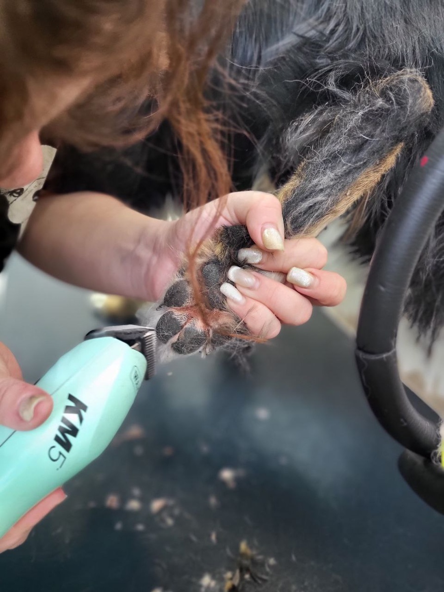 Машинка фирмы Wahl