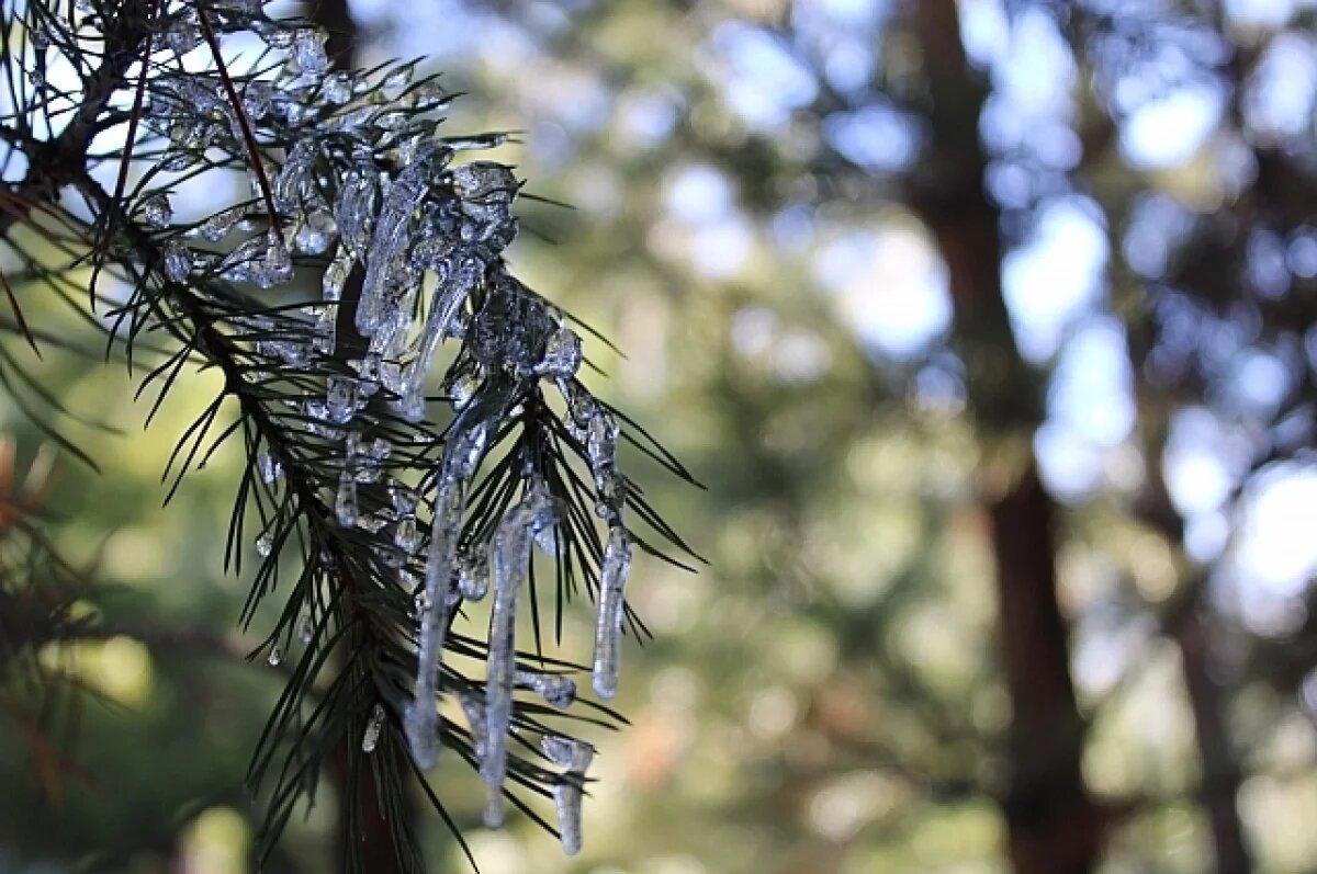    Оттепель ожидает жителей Удмуртии на предстоящей неделе