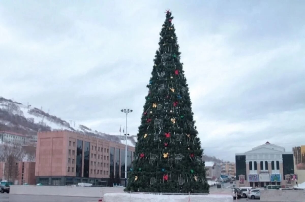    К 1 декабря в Петропавловске установят 18 новогодних ёлок