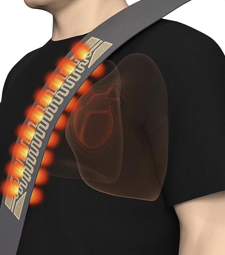 Изображение: nature.com