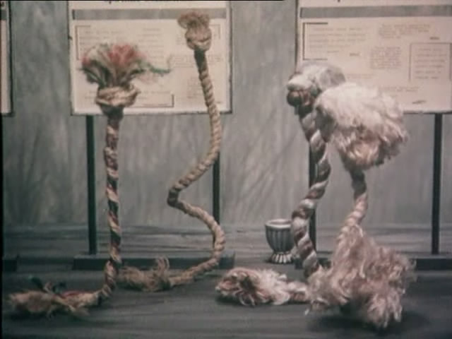 Муся завидует