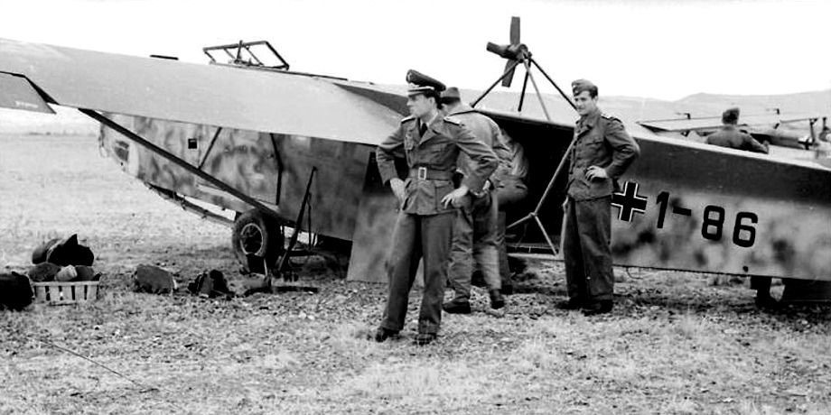 Картинка из свободных источников. DFS 230