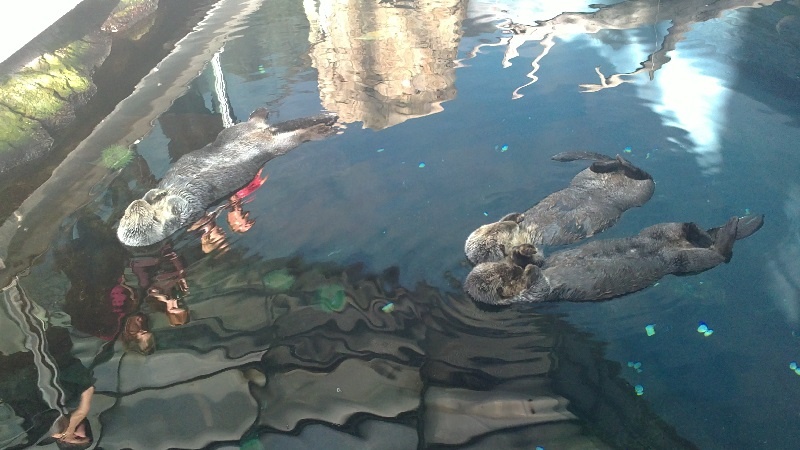 Лиссабон - фото Лины Яндараевой
