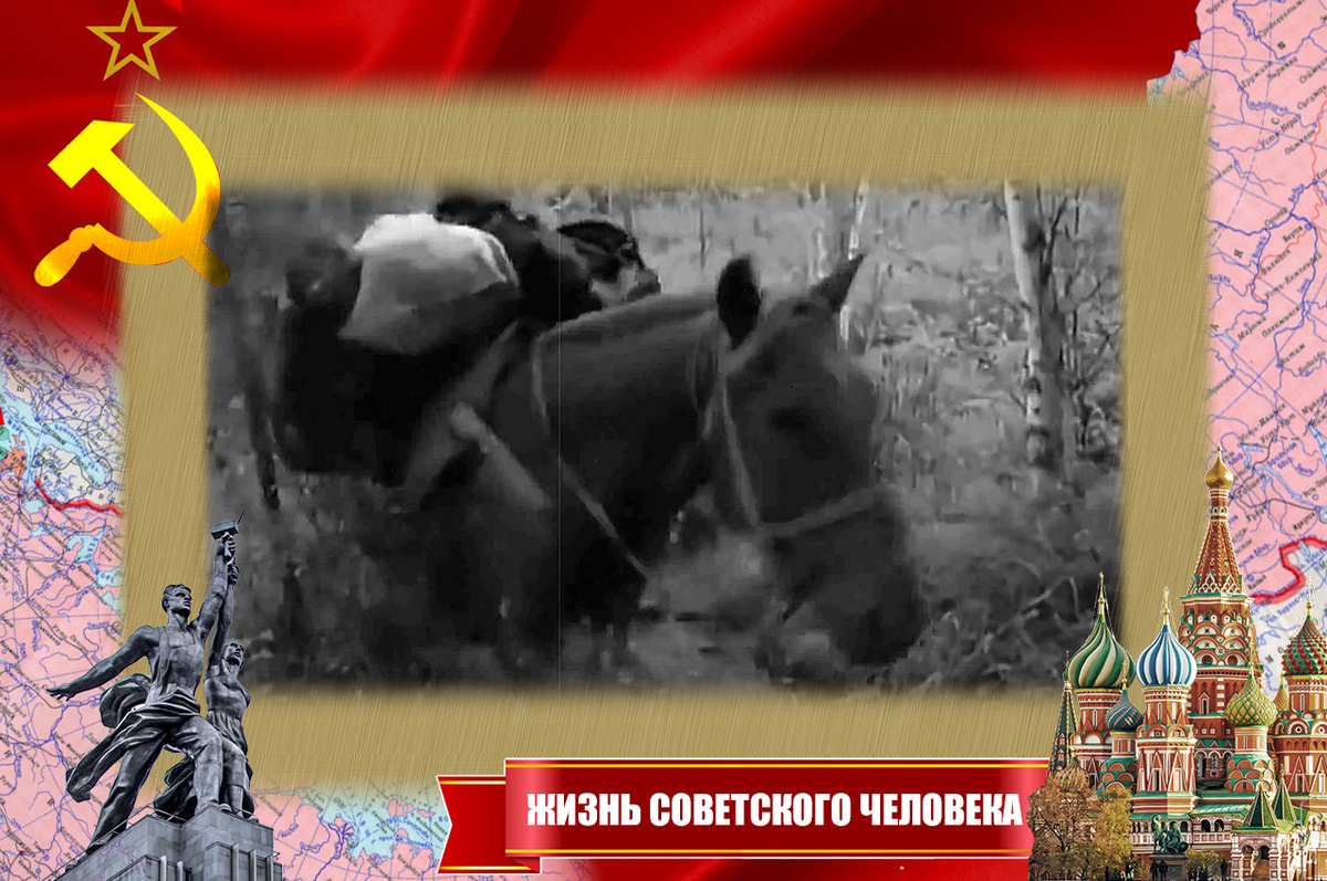 Лошади в экспедиции