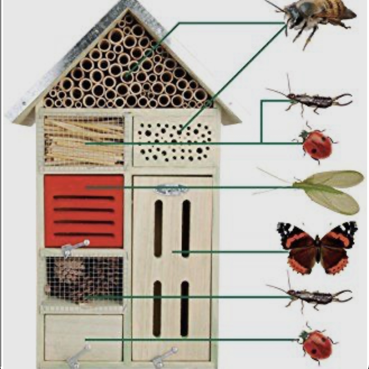 Расселение обитателей 
