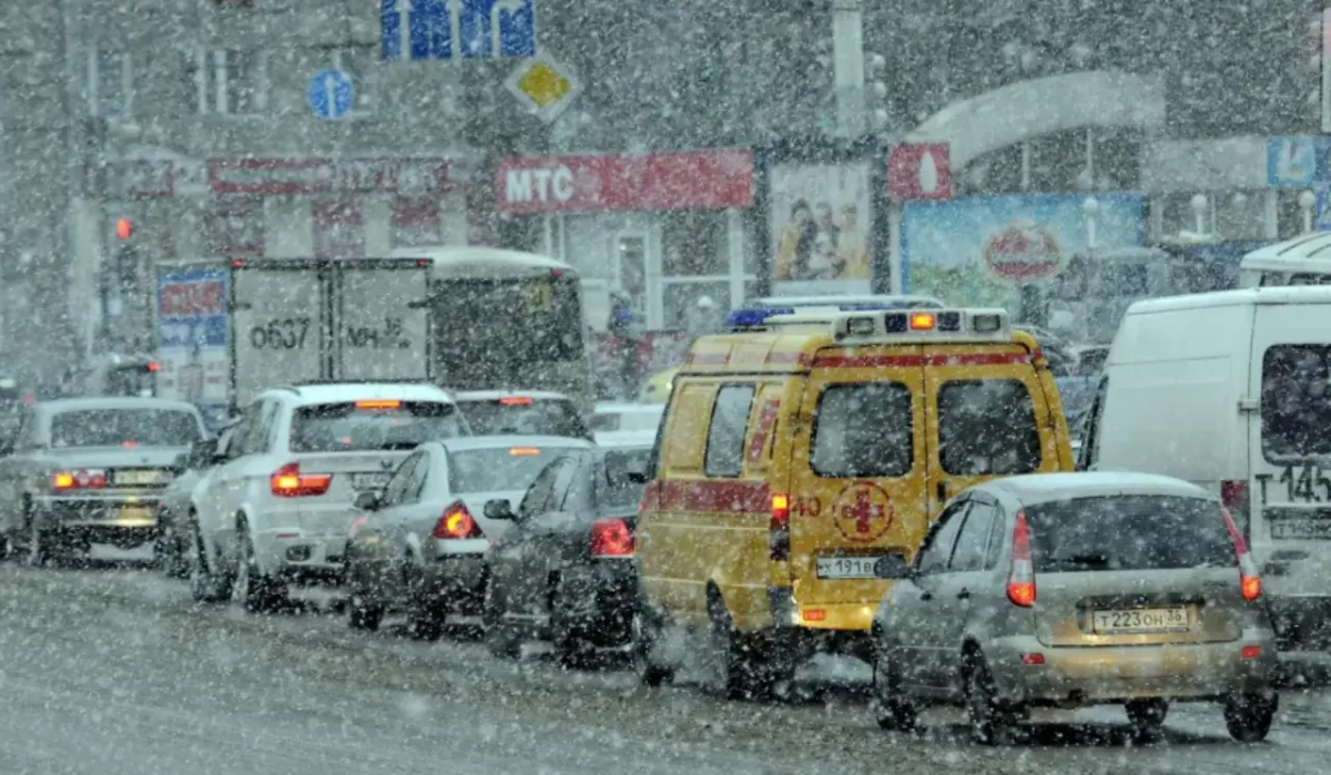     Снегопад. Источник: riavrn.ru Автор фото: Константин Толоконников