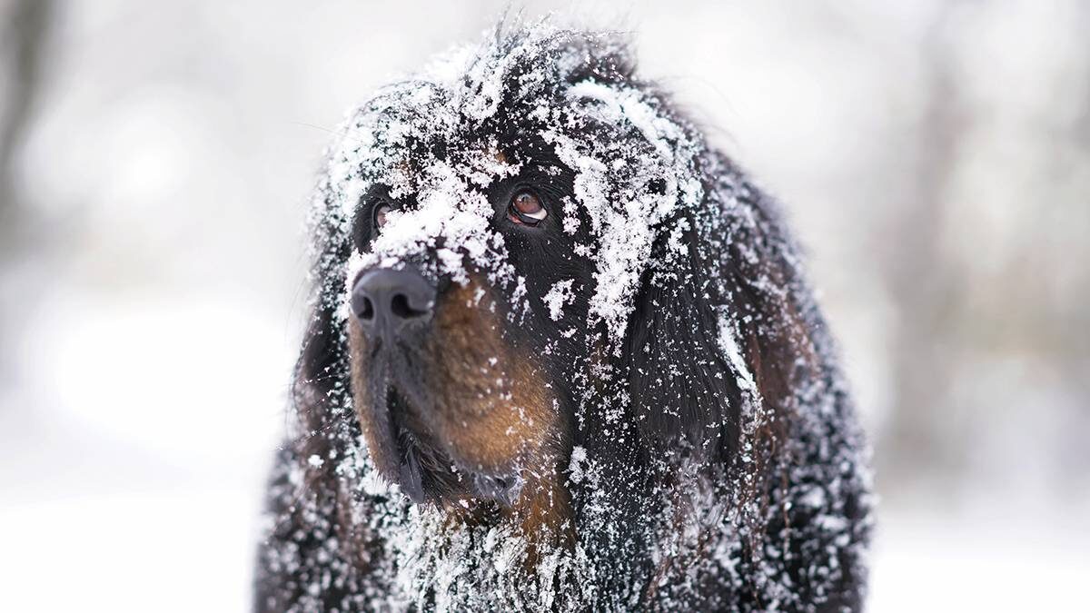    Фото: Shutterstock