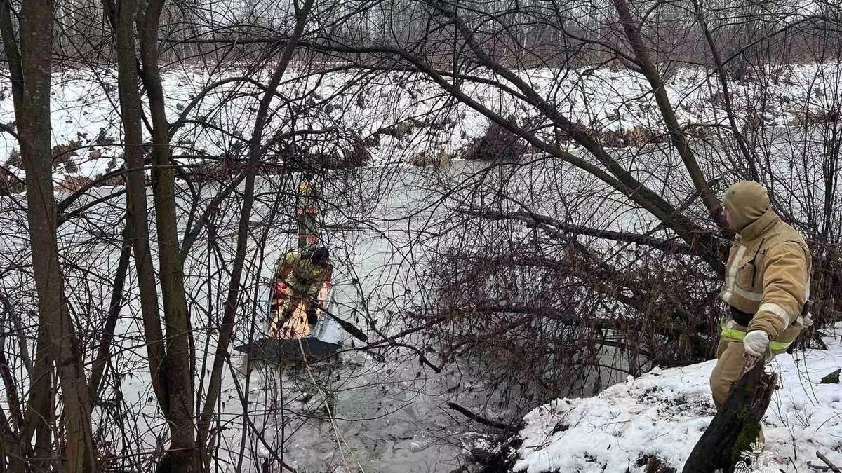     Источник: ГУ МЧС по Пермскому краю