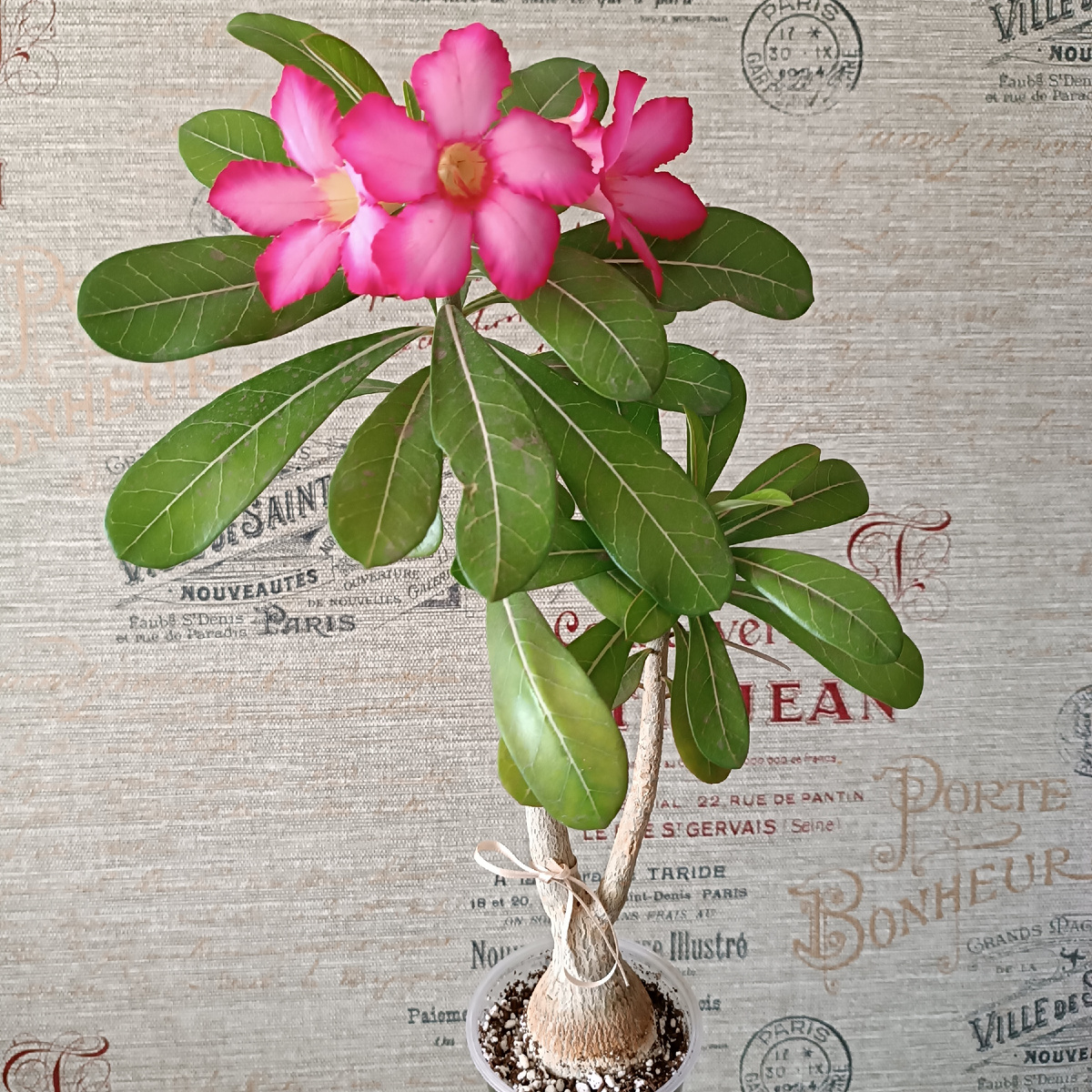   Ну какава красота!! 