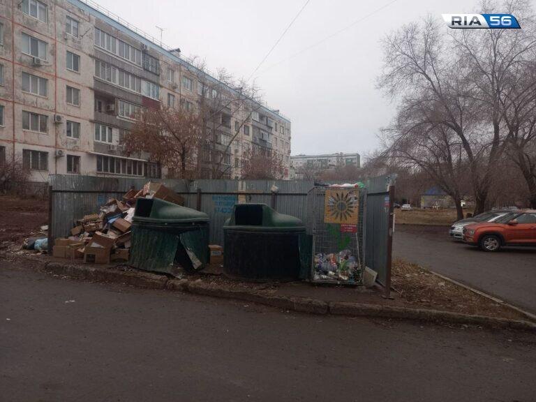    Борьба против крыс. В Оренбурге начали обрабатывать от грызунов места сбора мусора   Белов Михаил Александрович