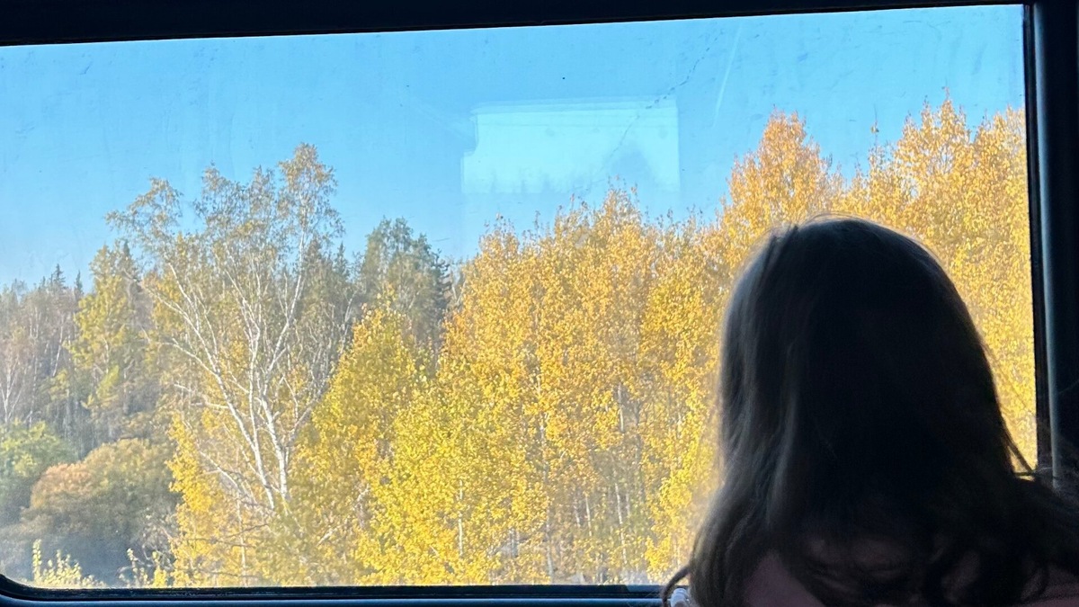 Утро в поезде