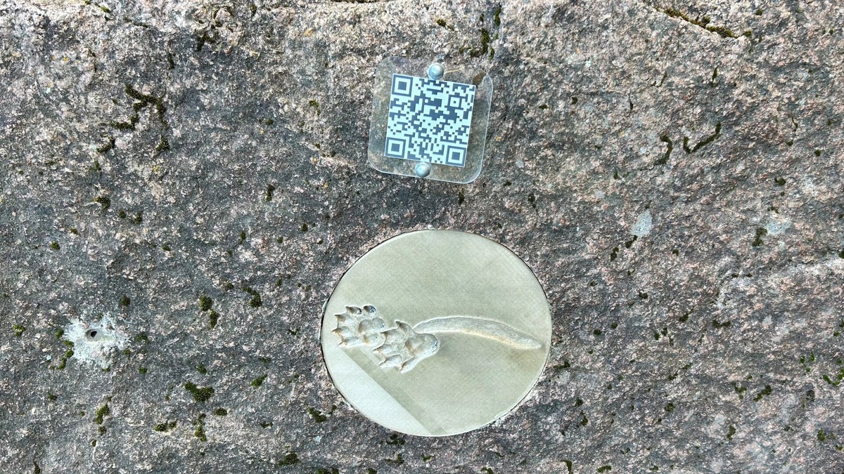 Узнать, чей след, можно, наведя камеру на QR-код