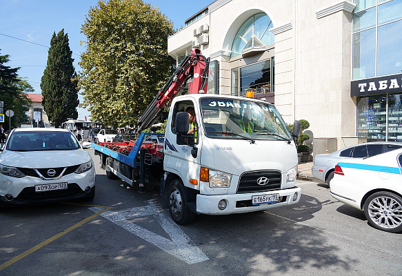    Фото: пресс-служба администрации Сочи