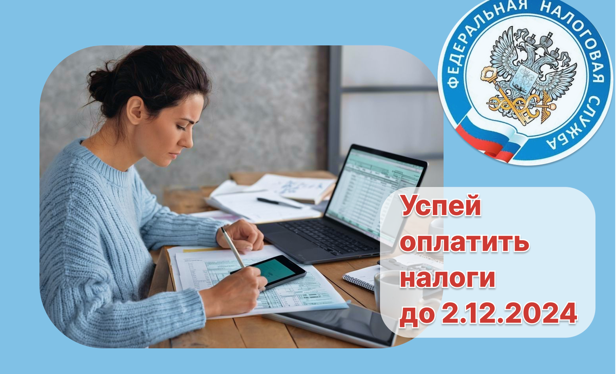 Налоги до 2 декабря 2024 года: что нужно оплатить, чтобы не переплачивать пени и штрафы