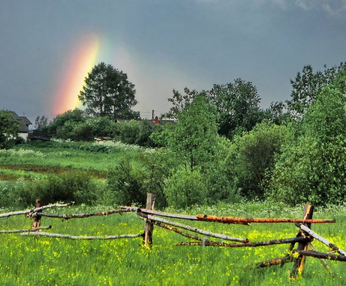 она не собиралась уходить