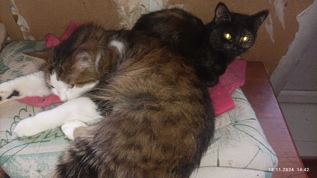 Гаврбша и Помадка