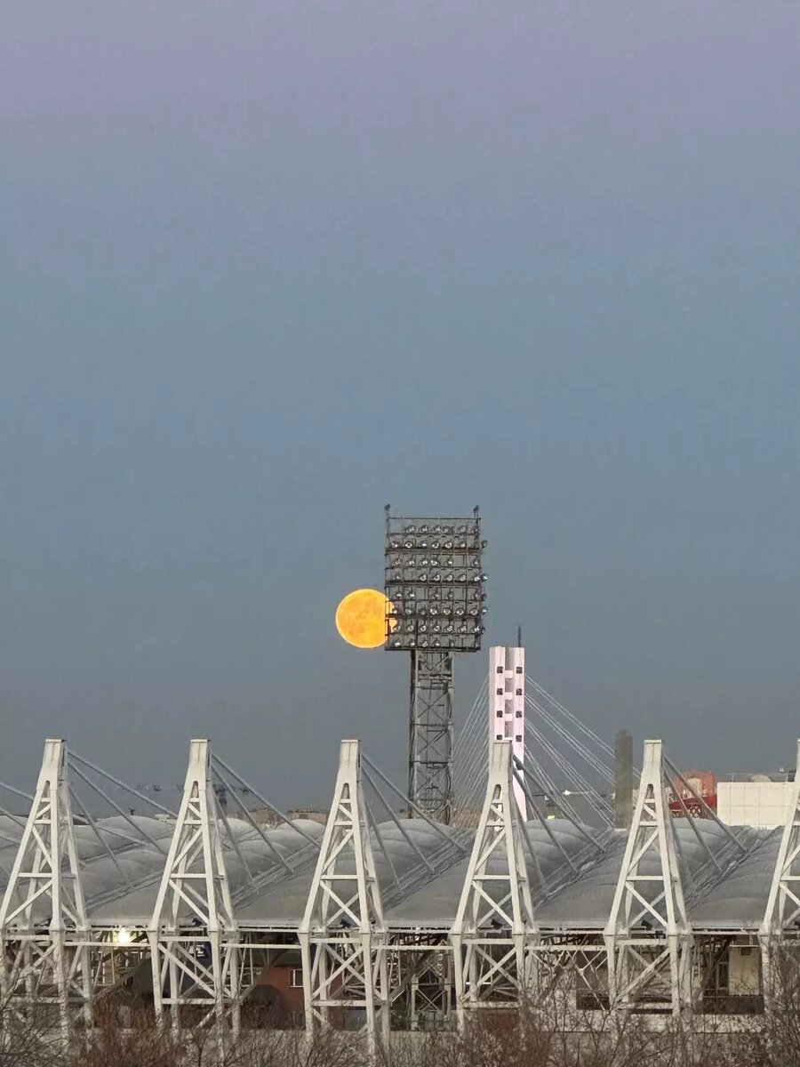     Автор: Юлия Гордеева Источник: Старая Башня ВК