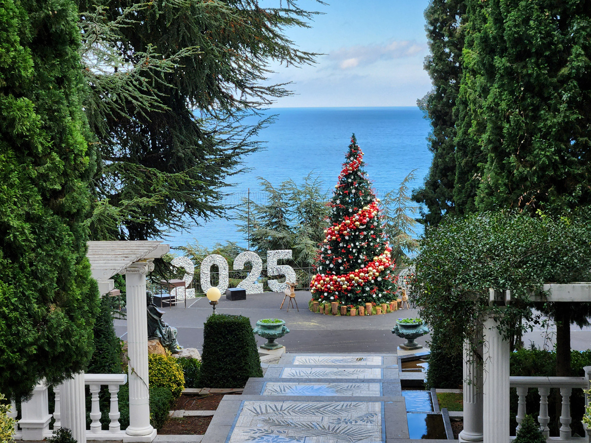 Новогодняя елка в парке Айвазовское