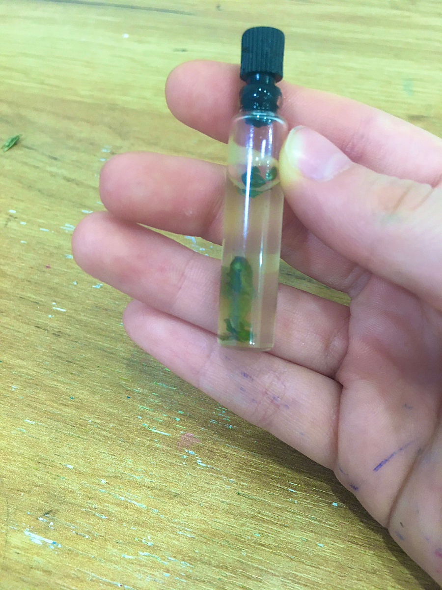 Применение: носить с собой или мазать запястье