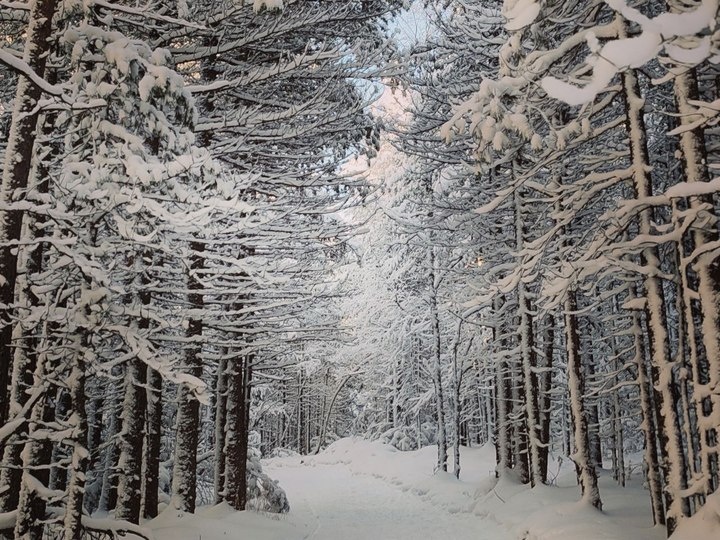   МК в Бурятии