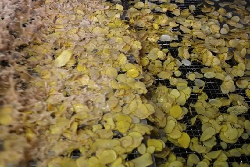 При обжарке тонкие ломтики картофеля насыщаются жирами, что делает их такими хрустящими и придает насыщенный вкус © РИА Новости. Алексей Майшев 