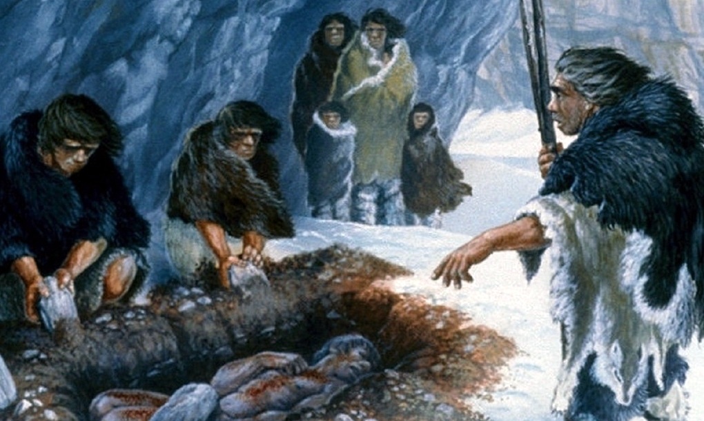 Из открытых источников.