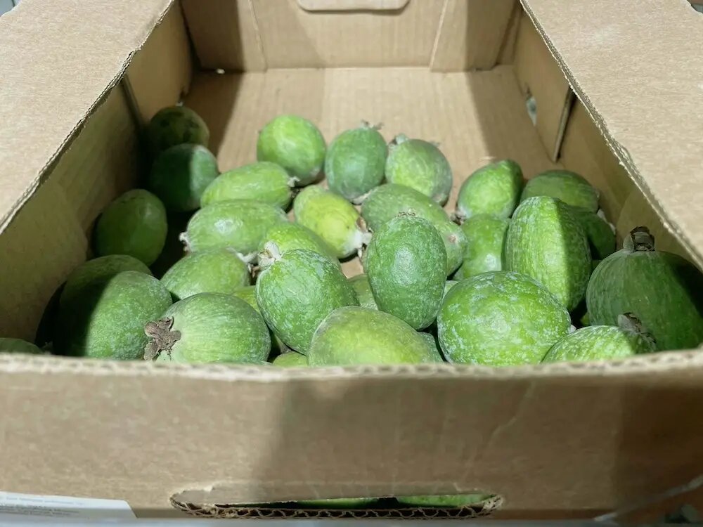 Пик сезона фейхоа приходится на начало ноября © Интерфакс. Наталья Маслова