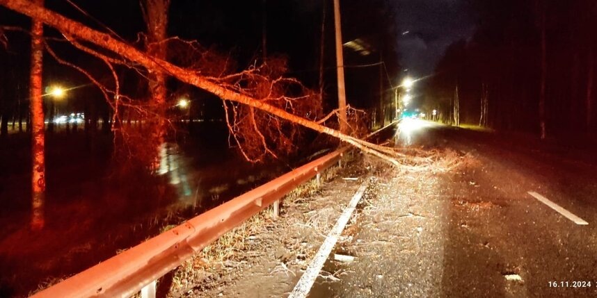    комитет по благоустройству Санкт-Петербурга
