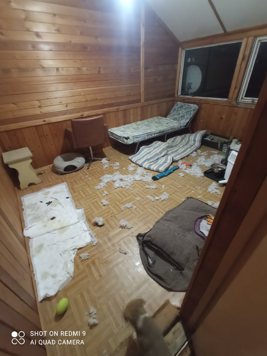 Масштабы разрушения). 