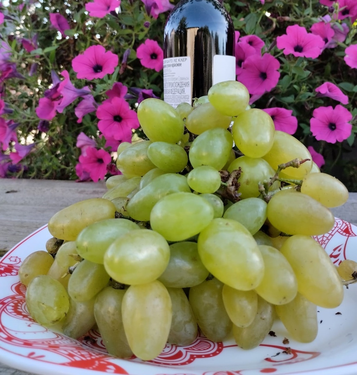 Первая кисть Бажены , с 4х летней лозы  