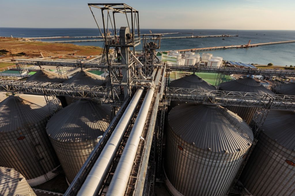    Фото: пресс-служба «Деметра-Холдинг» tamannews