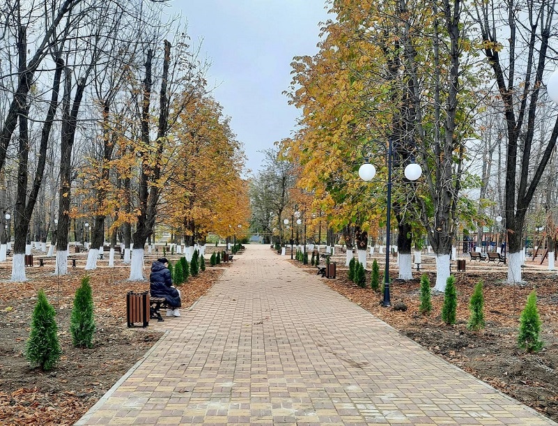    Фото: Юрий Серебренников/BFM Кубань