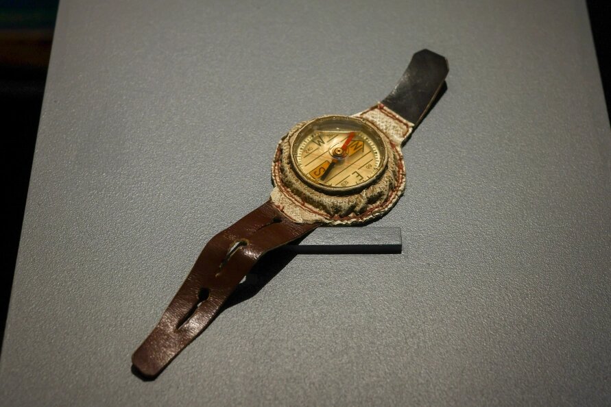    Фото: Petrov Sergey/Globallookpress