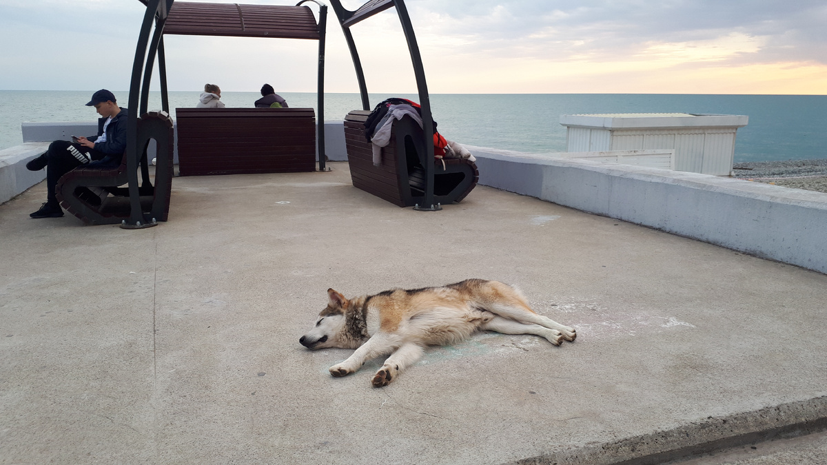 Черное море. фото автора