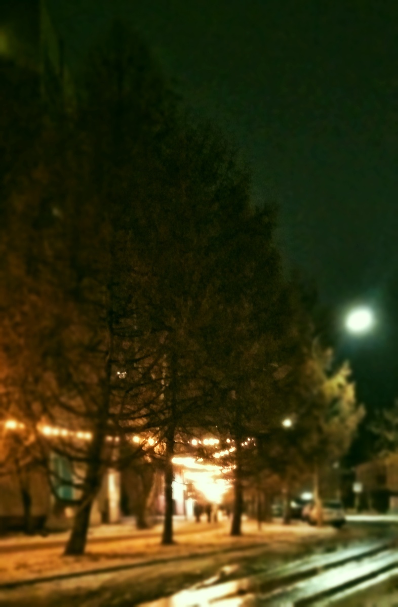 Размышления на прогулке...