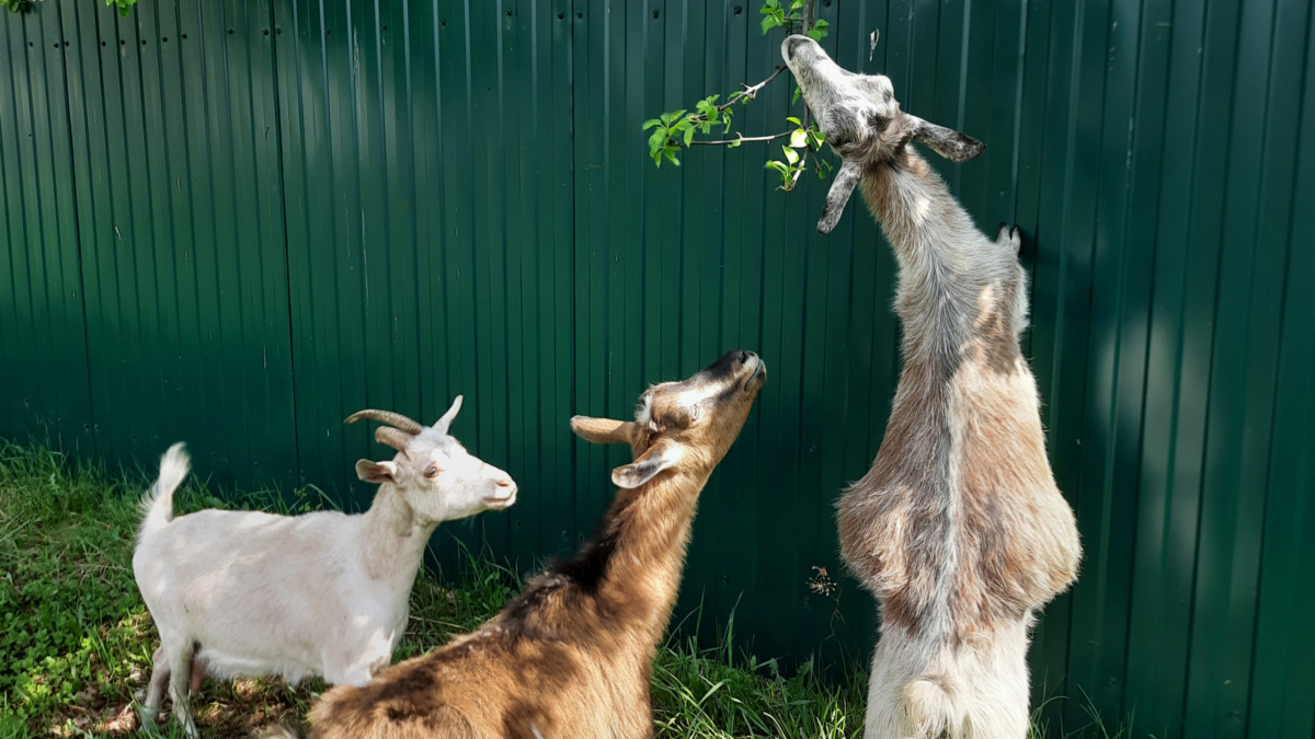 ООО «СДК»📷

