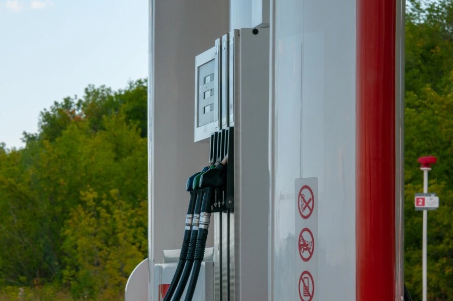    Svetlana Vozmilova/Globallookpress