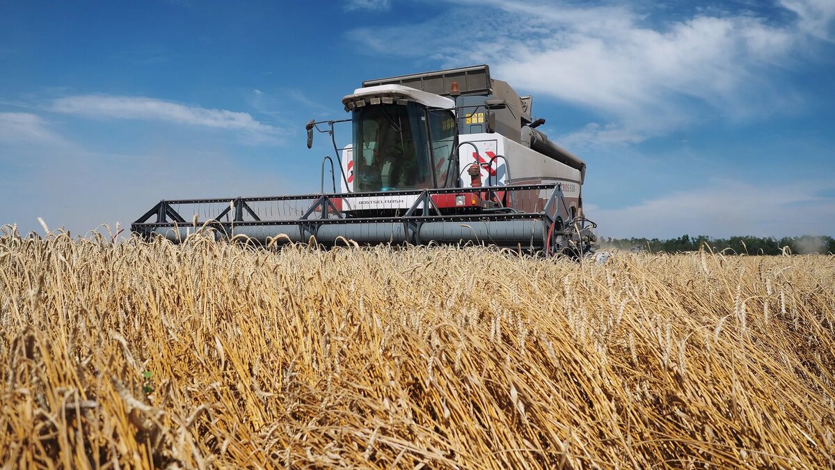 © Sputnik / Виталий Тимкив