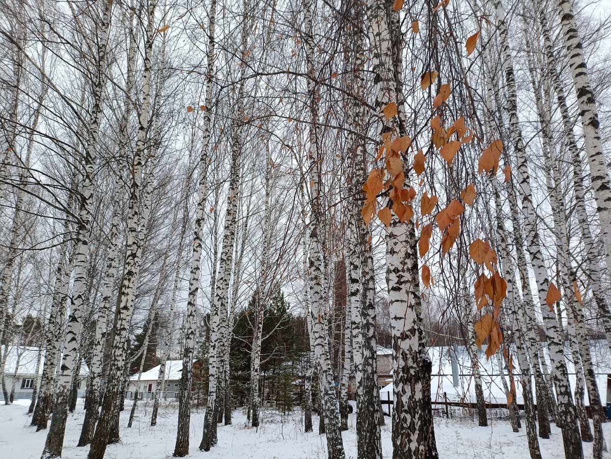 Фотография автора