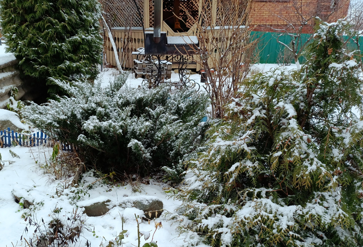 Фотография автора