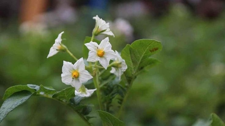 Фото с pinterest.com